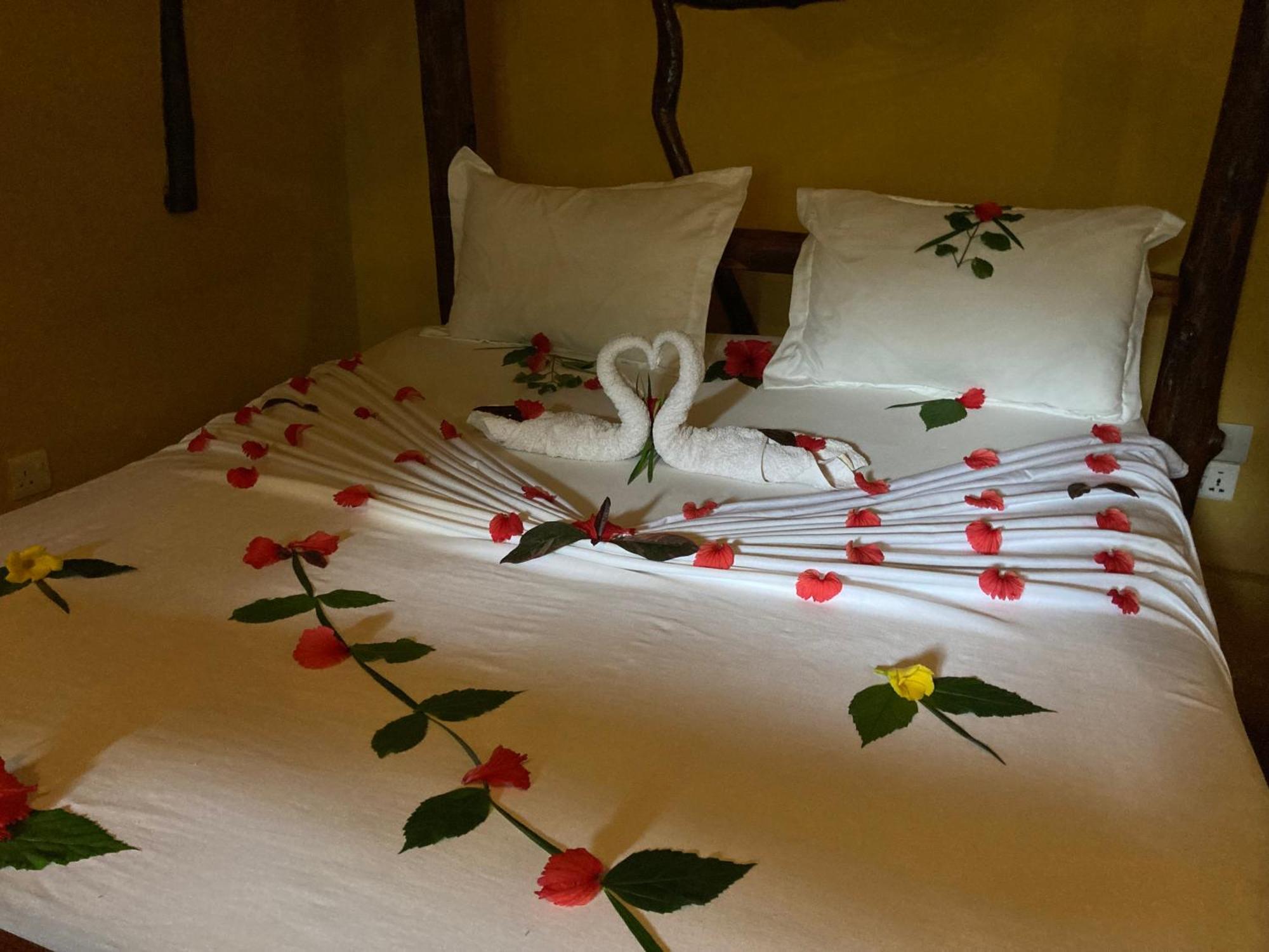 Pasa Lodge Zanzibar Nungwi Rom bilde