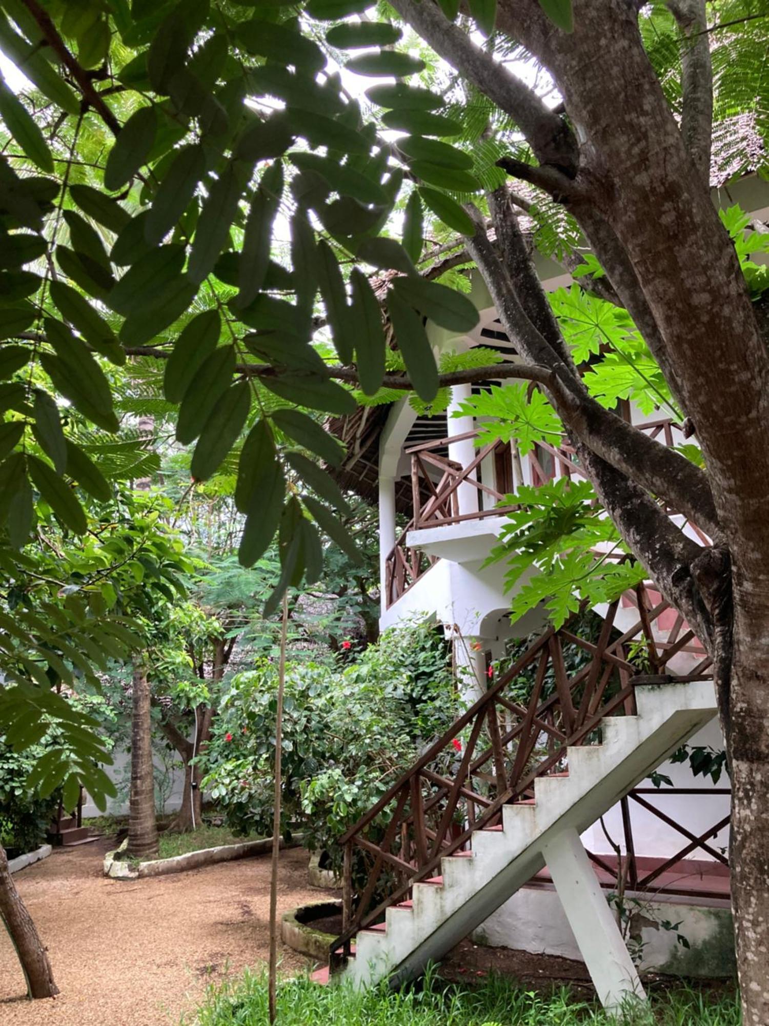 Pasa Lodge Zanzibar Nungwi Eksteriør bilde